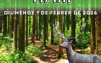 I TIRADA TAI VALL FOSCA 2026.